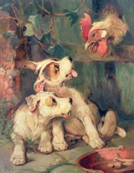 Drei sind einer zu viel